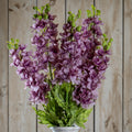 Natural Garden Collection Purple Elatum Delphinium