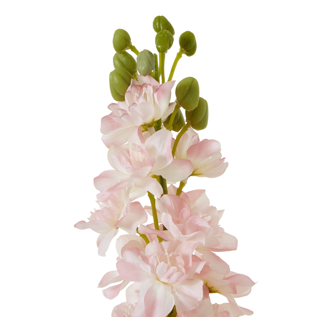 Natural Garden Collection Pink Elatum Delphinium - Pink