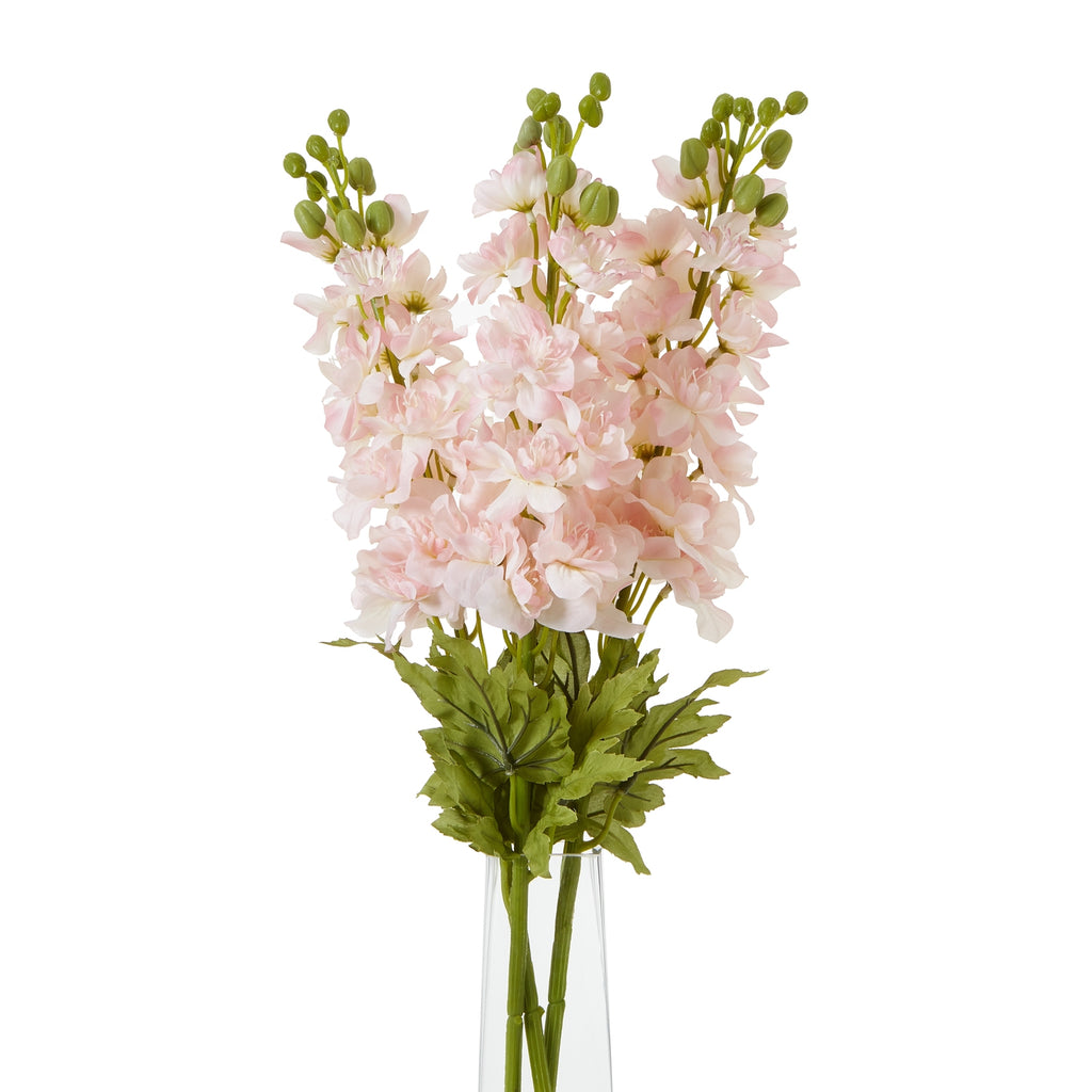 Natural Garden Collection Pink Elatum Delphinium - Pink