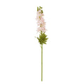 Natural Garden Collection Pink Elatum Delphinium