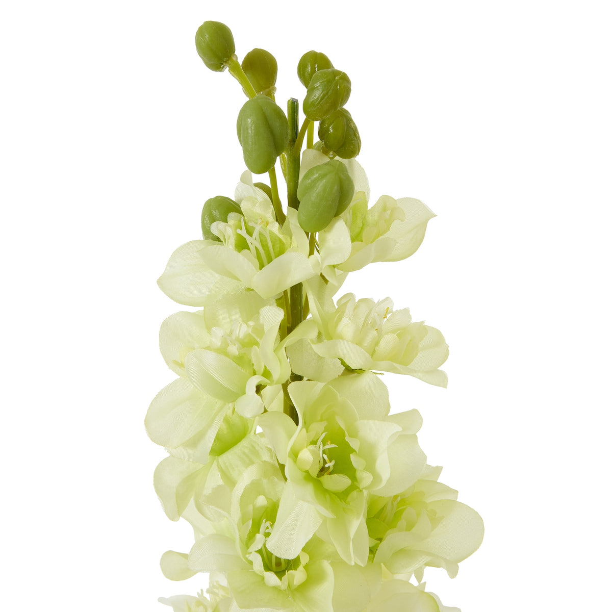 Natural Garden Collection White Elatum Delphinium - White