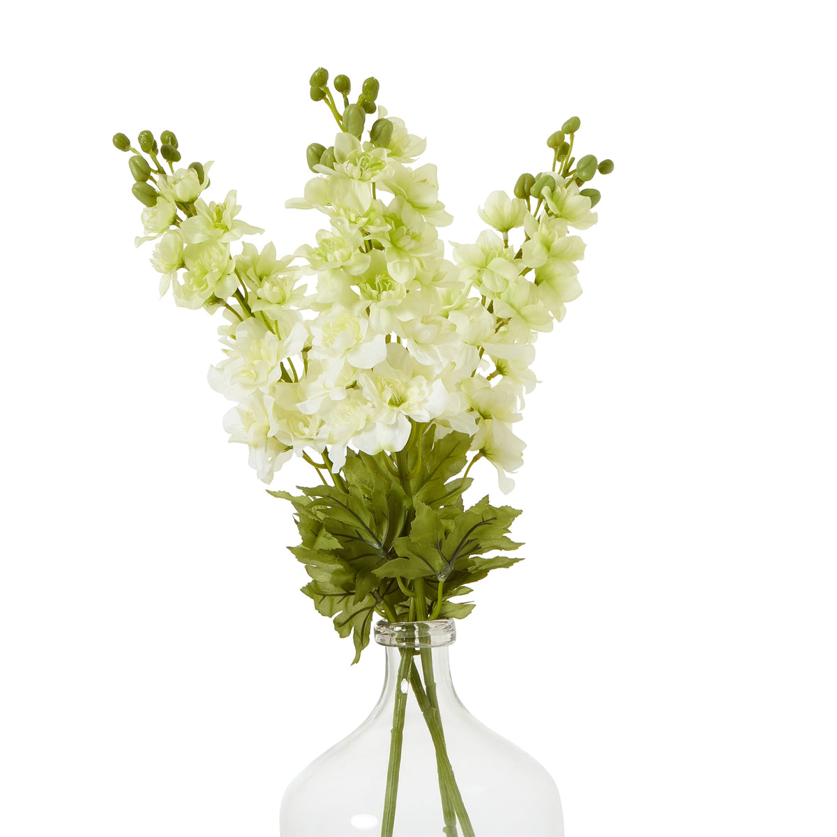 Natural Garden Collection White Elatum Delphinium - White