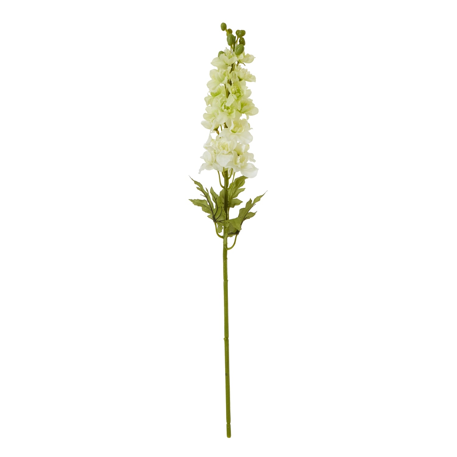 Natural Garden Collection White Elatum Delphinium