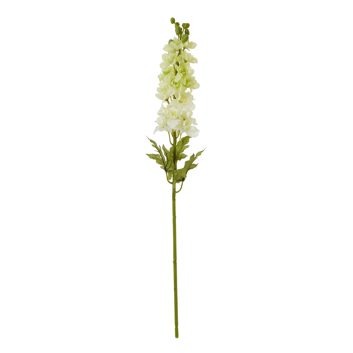 Natural Garden Collection White Elatum Delphinium - White