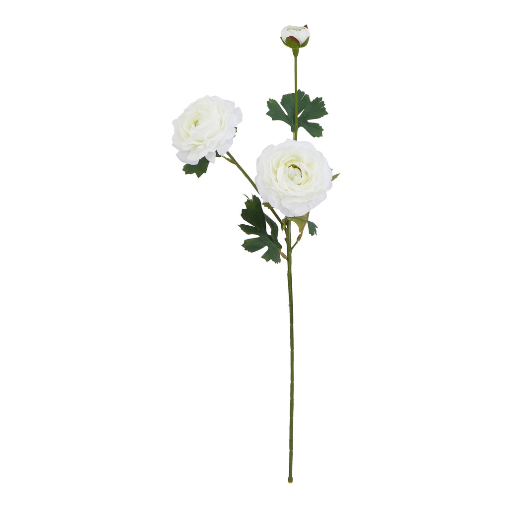 Natural Garden Collection White Ranunculus - White