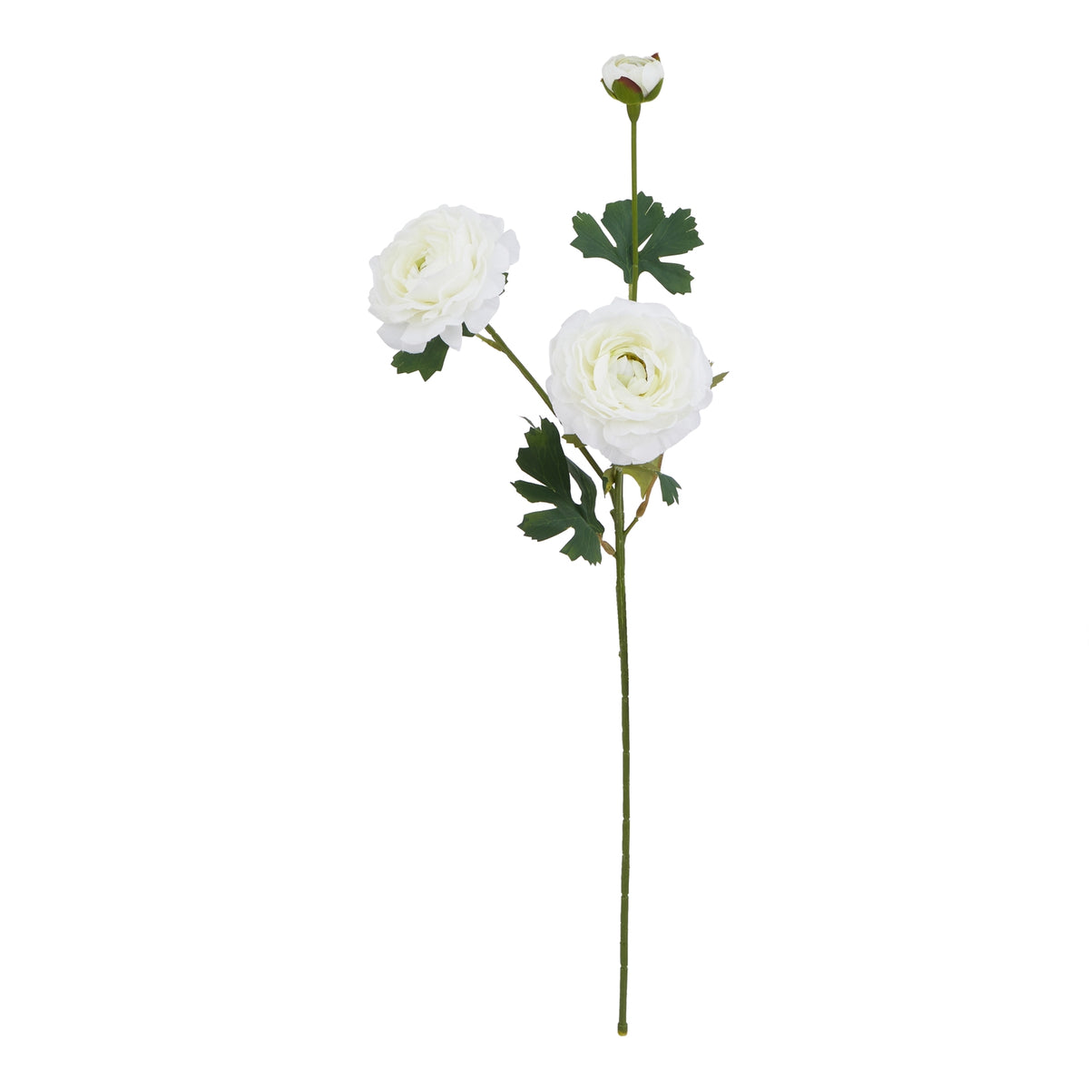 Natural Garden Collection White Ranunculus - White