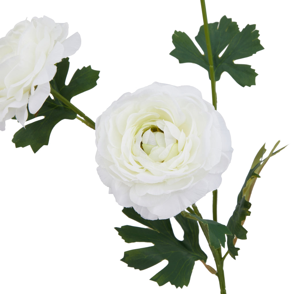 Natural Garden Collection White Ranunculus - White