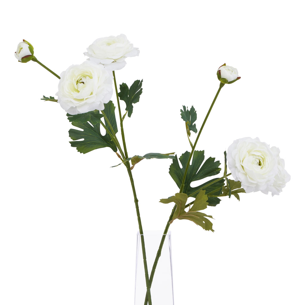 Natural Garden Collection White Ranunculus - White