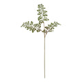 Natural Garden Collection Maidenhair Fern Stem