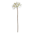 Natural Garden Collection White Nerine Lily Stem