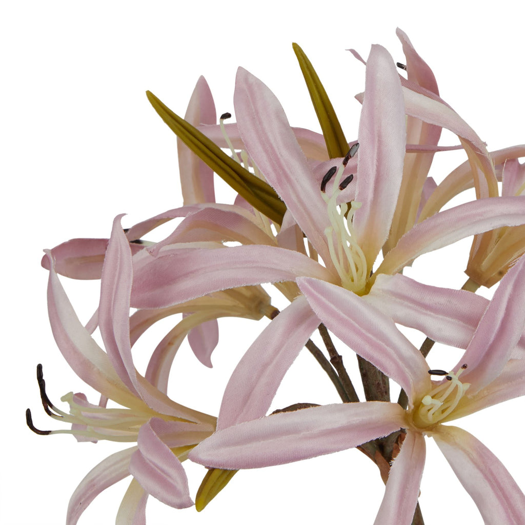 Natural Garden Collection Pink Lily Stem - Pink