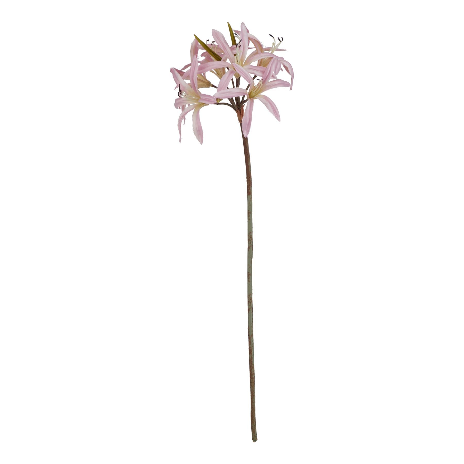 Natural Garden Collection Pink Lily Stem