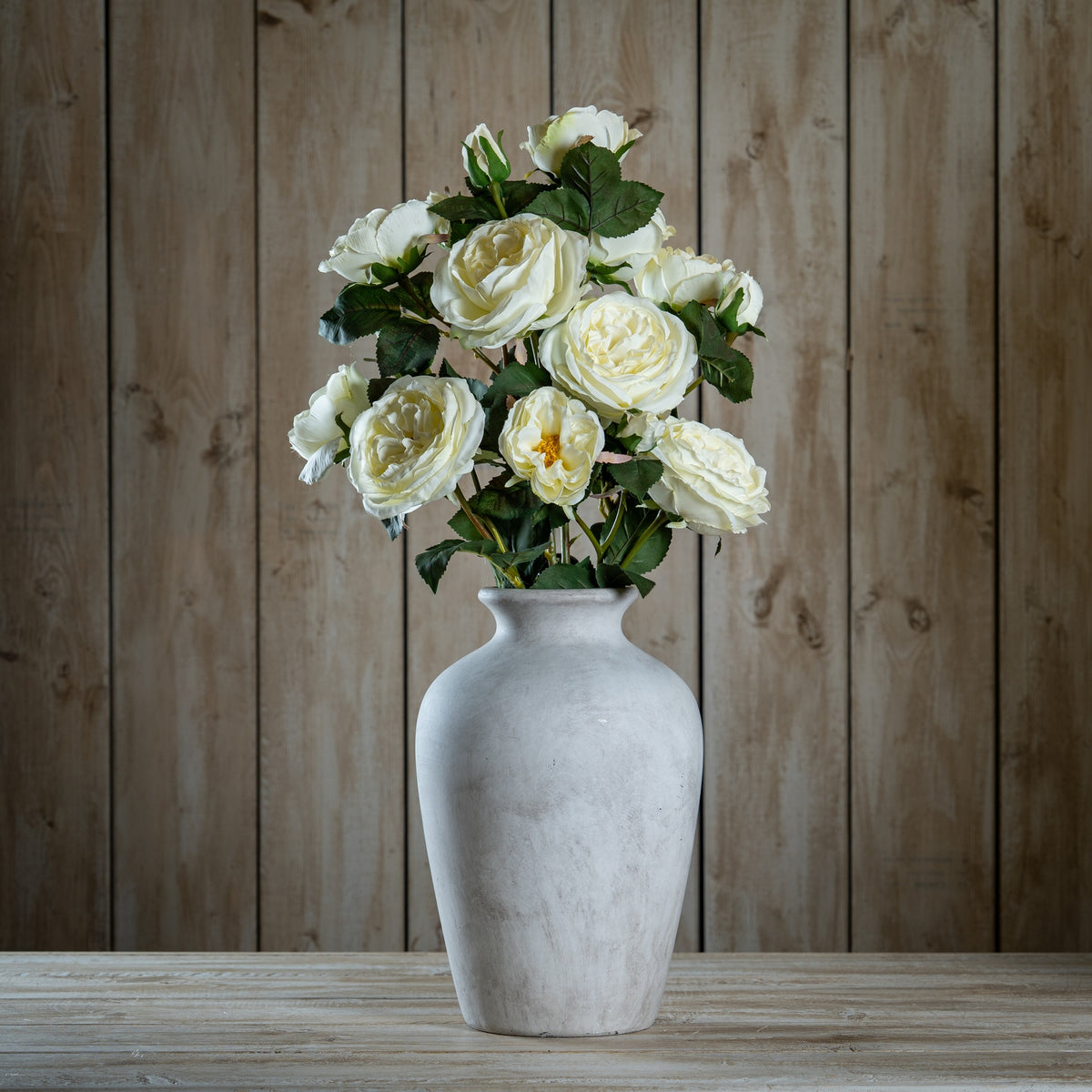 Natural Garden Collection White Charity Rose - White