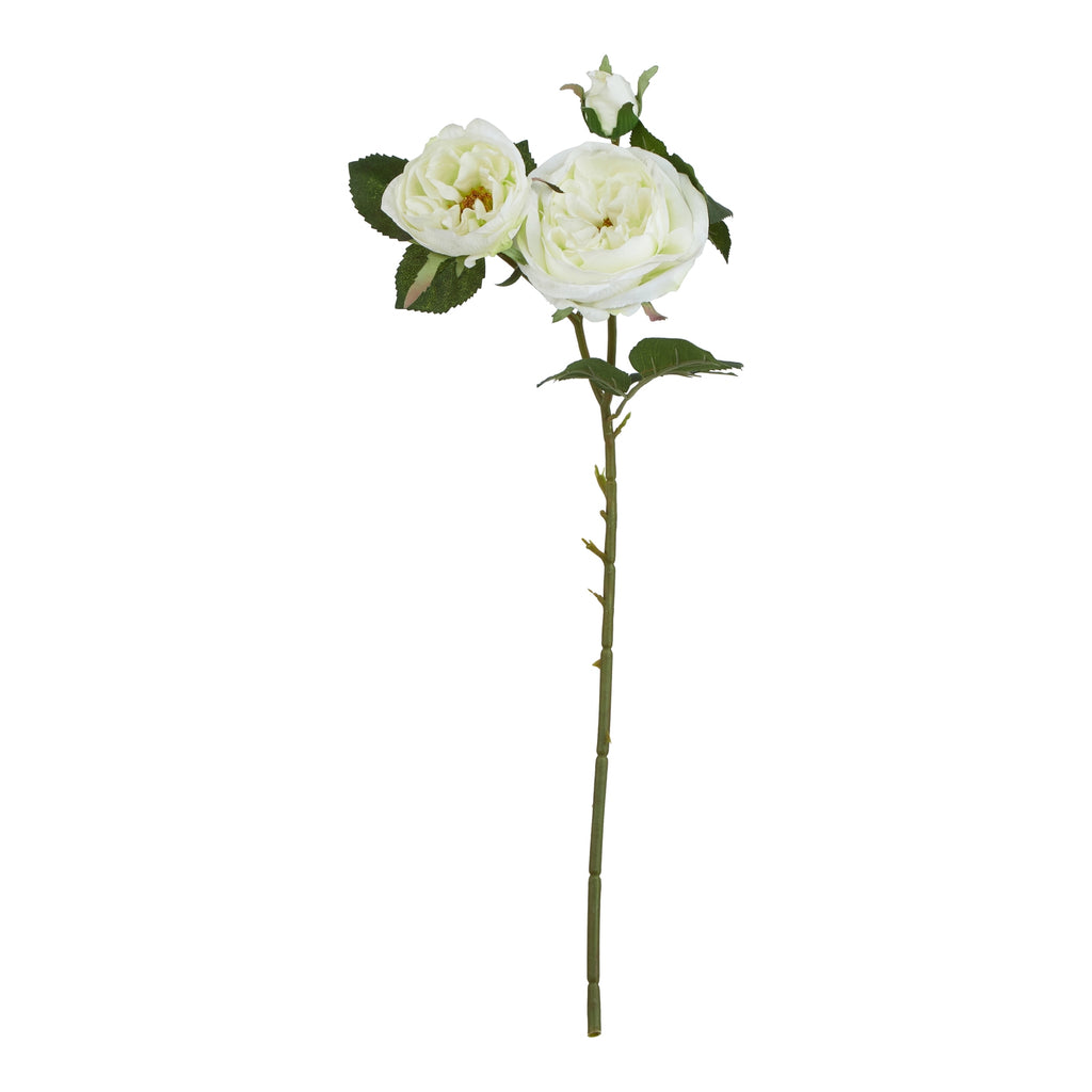 Natural Garden Collection White Charity Rose - White