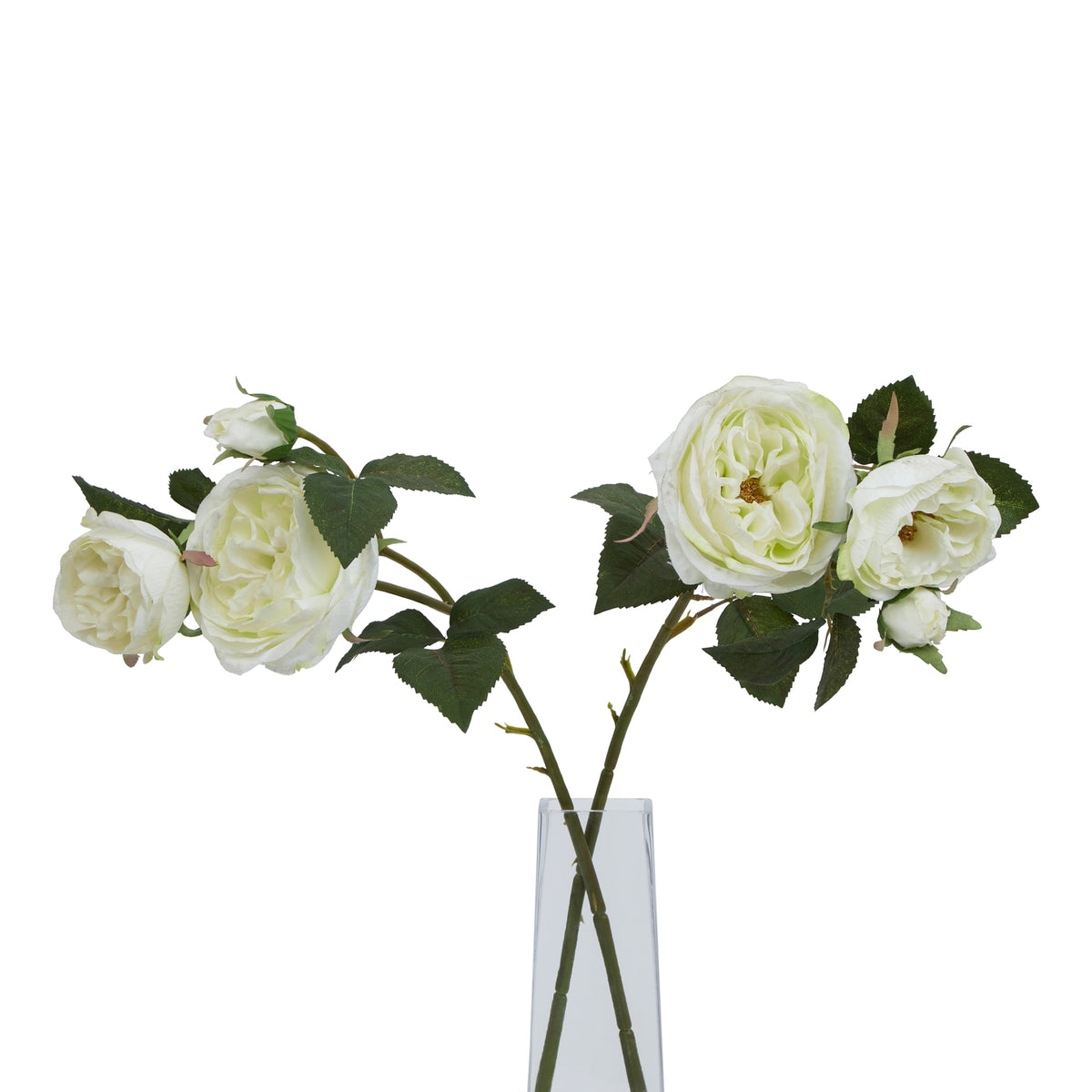 Natural Garden Collection White Charity Rose - White