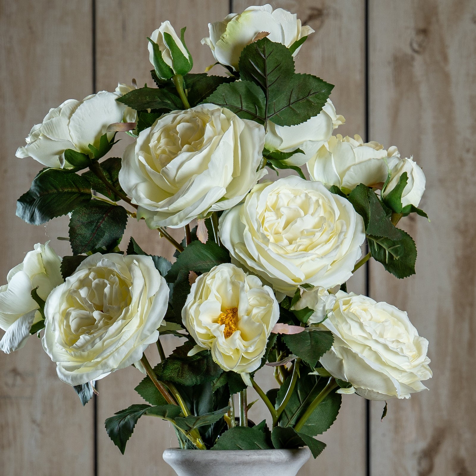 Natural Garden Collection White Charity Rose