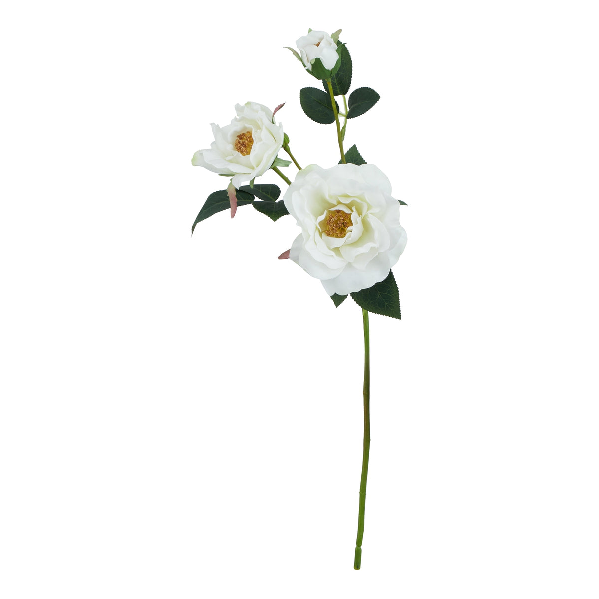 Natural Garden Collection White Tea Rose - White