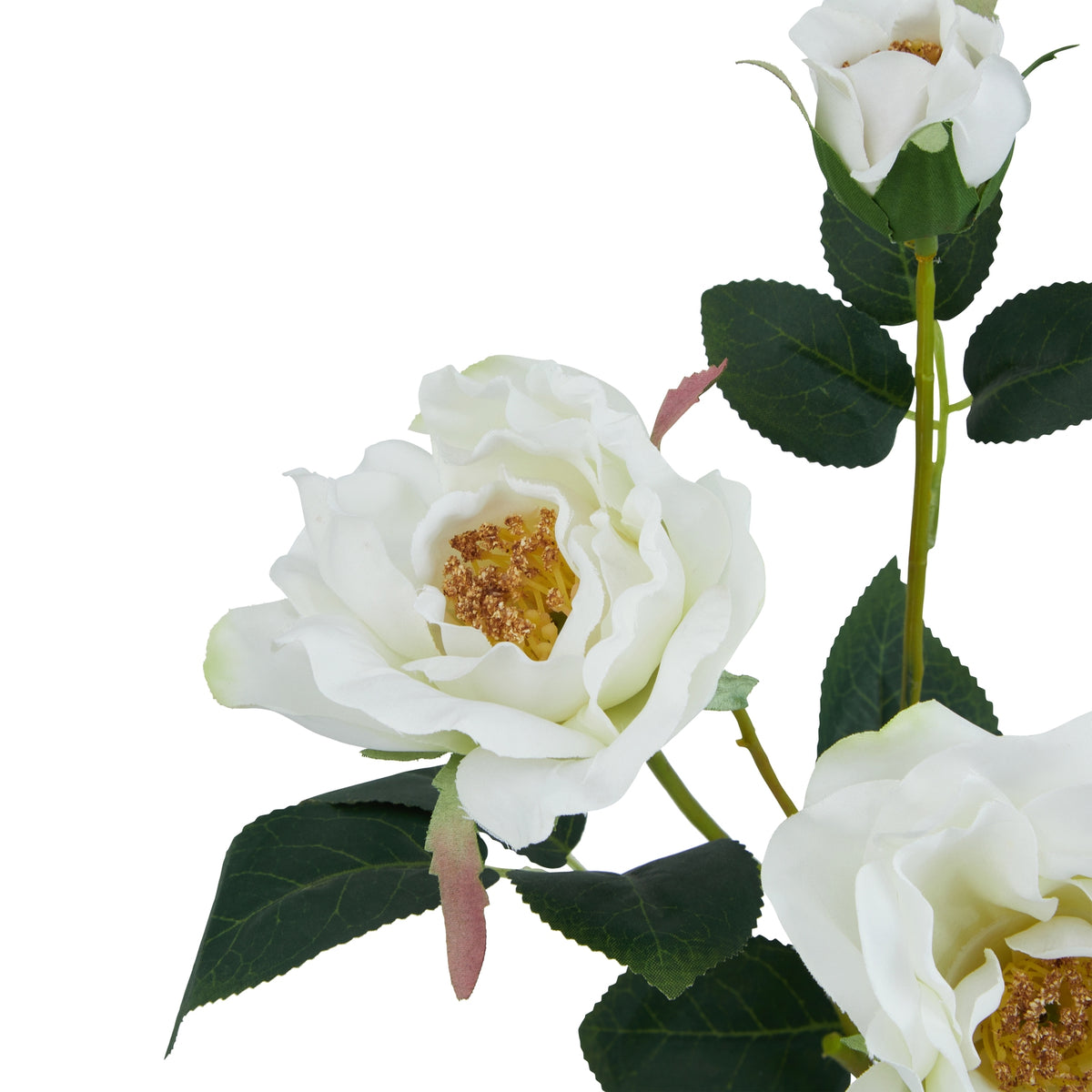 Natural Garden Collection White Tea Rose - White