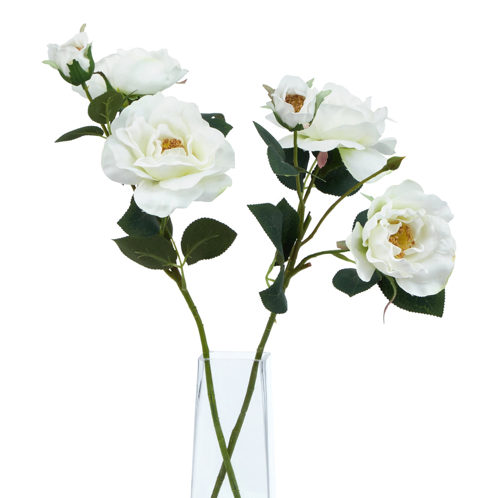 Natural Garden Collection White Tea Rose - White