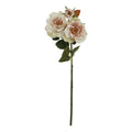 Natural Garden Collection Palest Blush Tea Rose