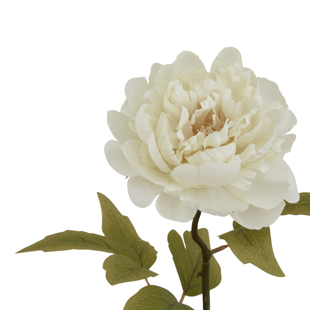Natural Garden Collection White Peony - White