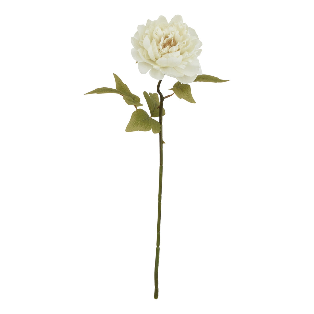 Natural Garden Collection White Peony - White