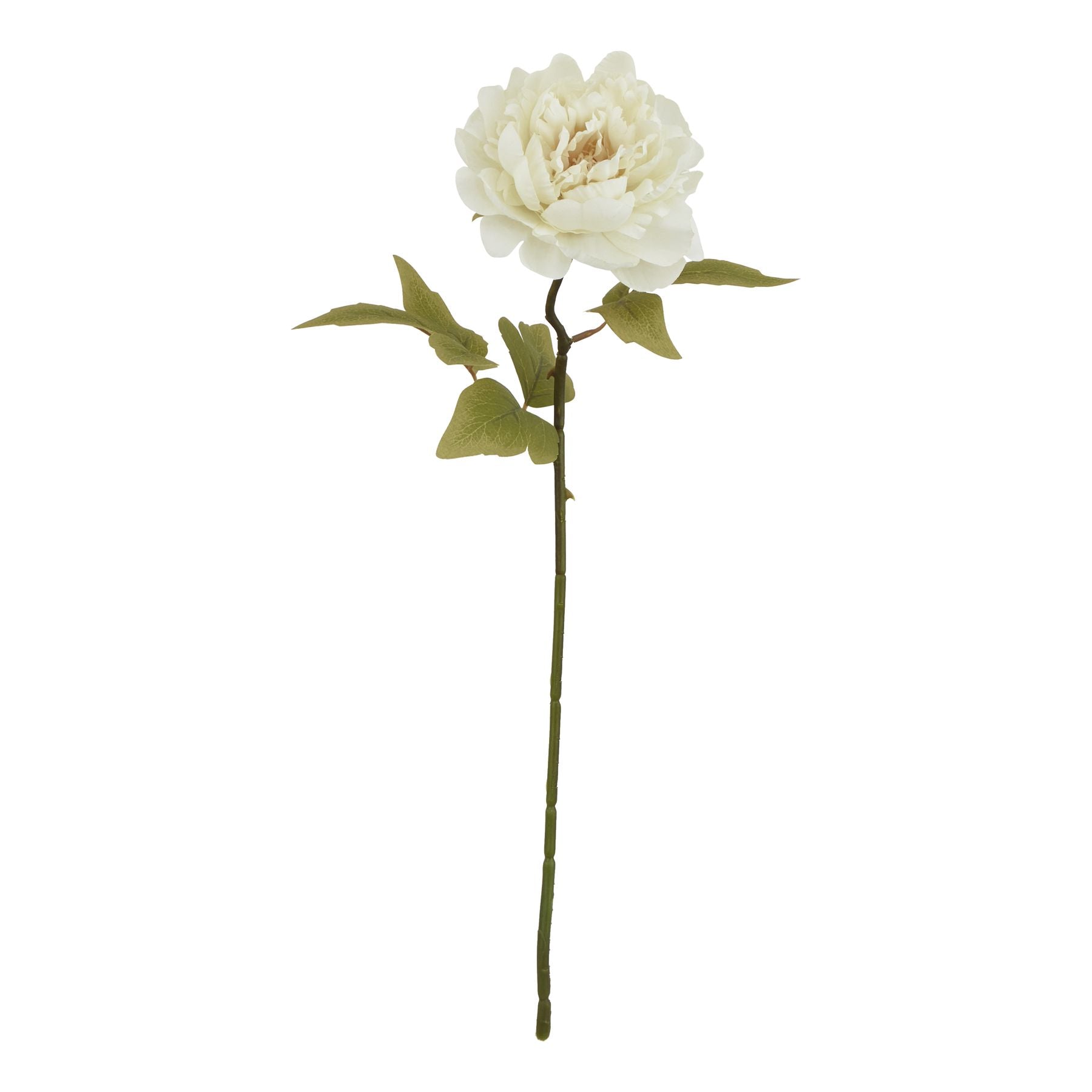 Natural Garden Collection White Peony