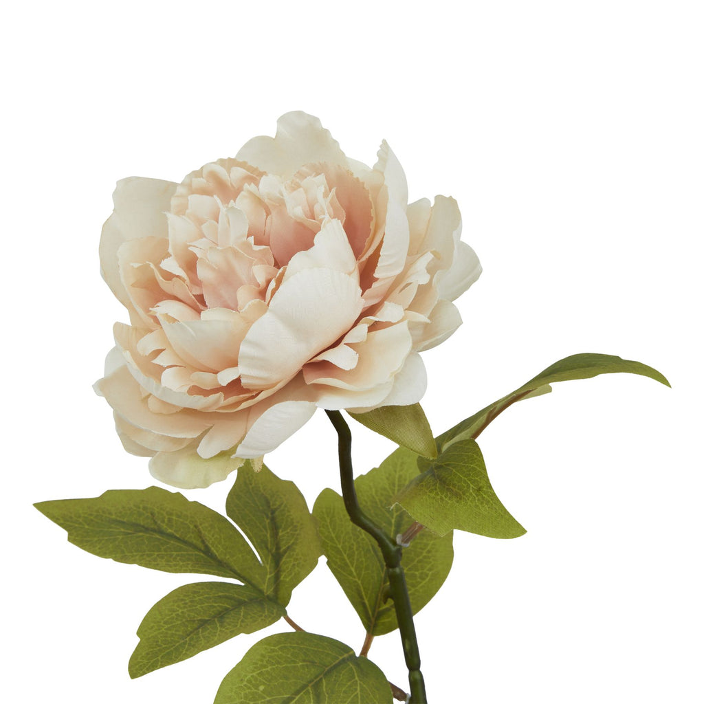 Natural Garden Collection Blush Peony - Pink