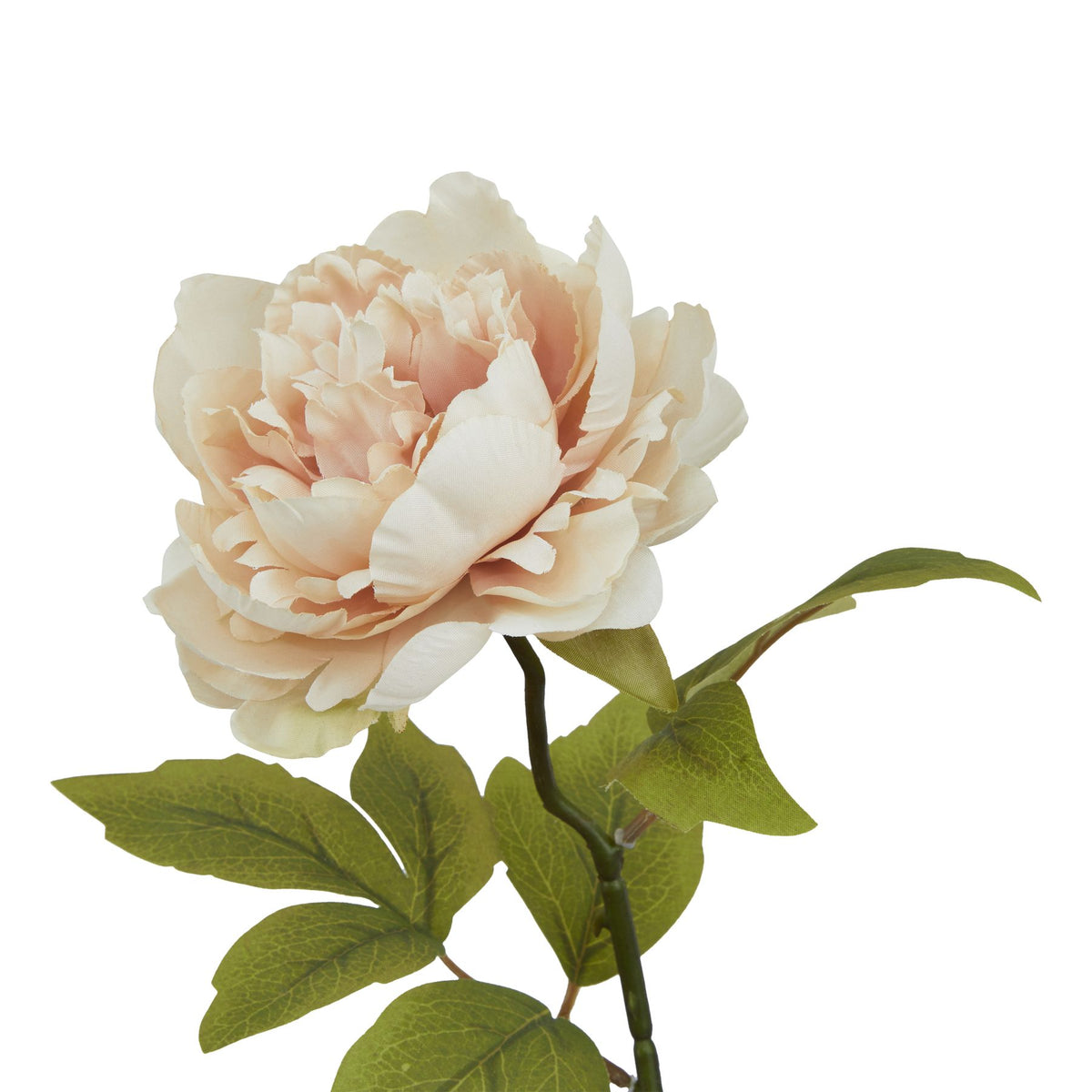 Natural Garden Collection Blush Peony - Pink