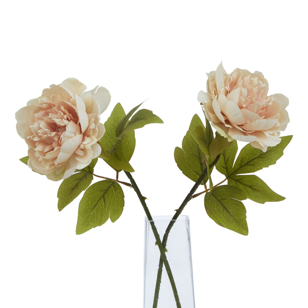 Natural Garden Collection Blush Peony - Pink