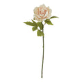 Natural Garden Collection Blush Peony
