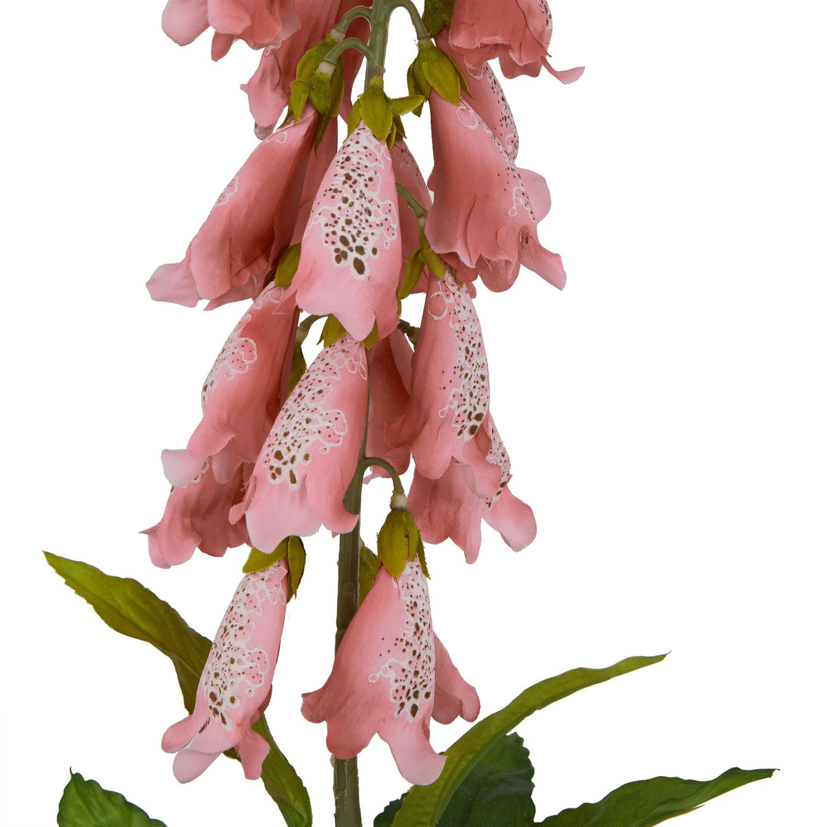 Natural Garden Collection Pale Pink Foxglove - Pink