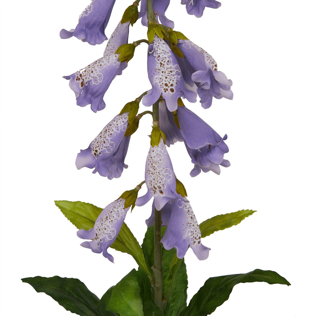 Natural Garden Collection Mauve Foxglove - Lilac