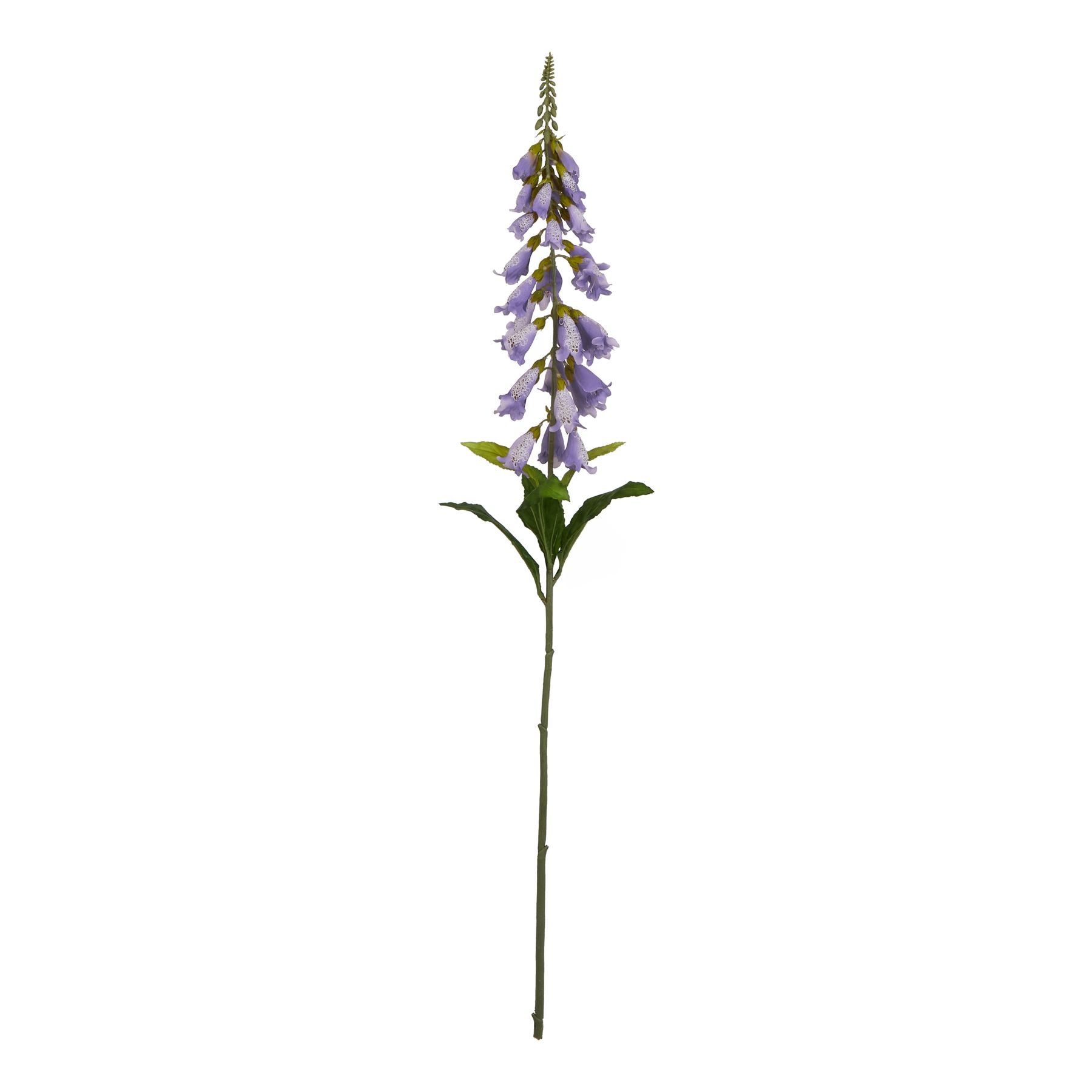 Natural Garden Collection Mauve Foxglove