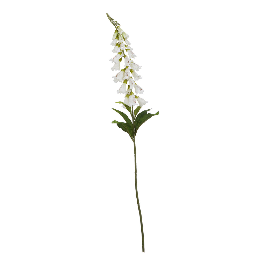 Natural Garden Collection White Foxglove - White