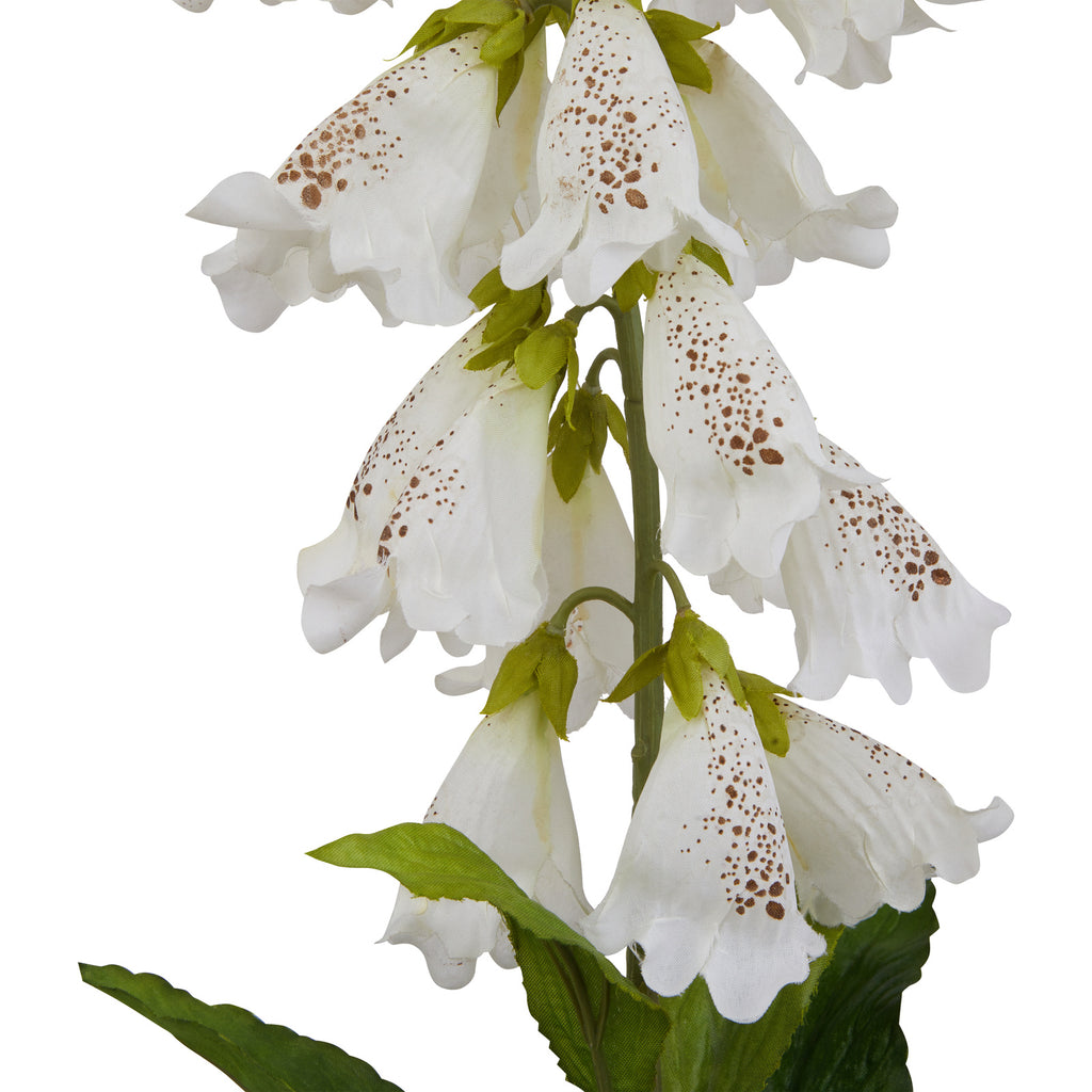 Natural Garden Collection White Foxglove - White