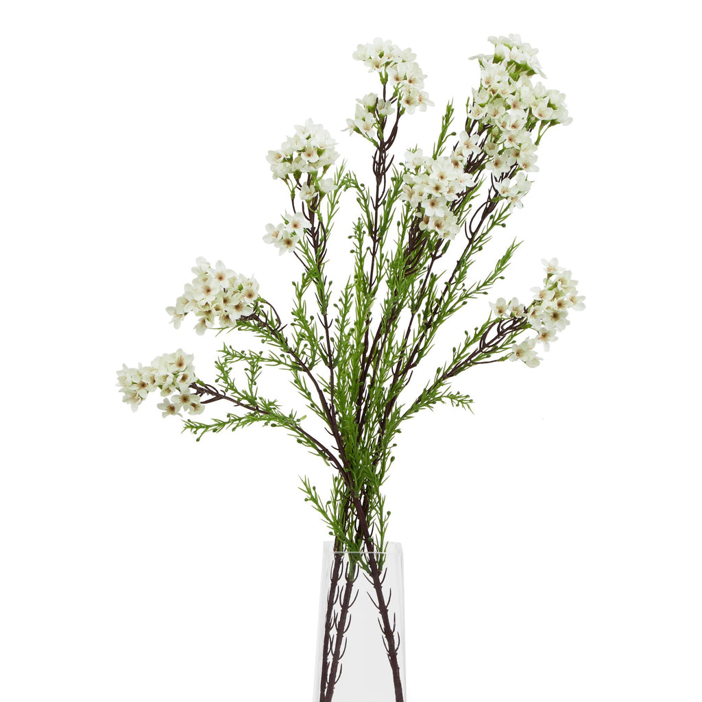 Natural Garden Collection White Waxflower - White