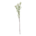 Natural Garden Collection White Waxflower