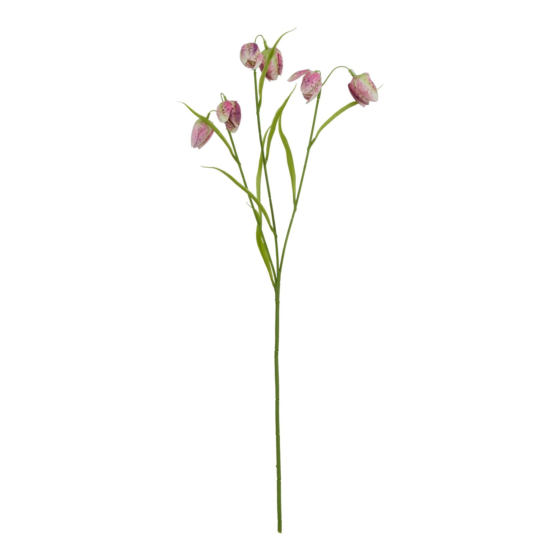 Natural Garden Collection Purple Fritillaria Stem