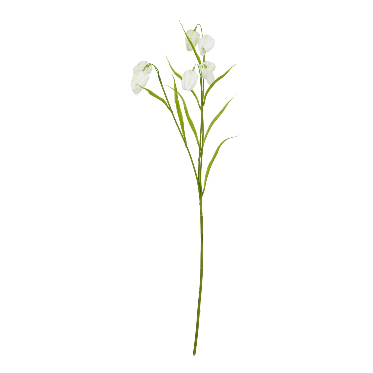 Natural Garden Collection White Fritillaria Stem - White