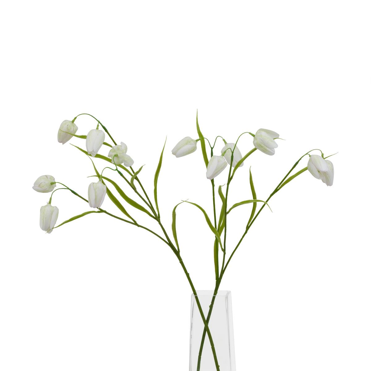 Natural Garden Collection White Fritillaria Stem - White