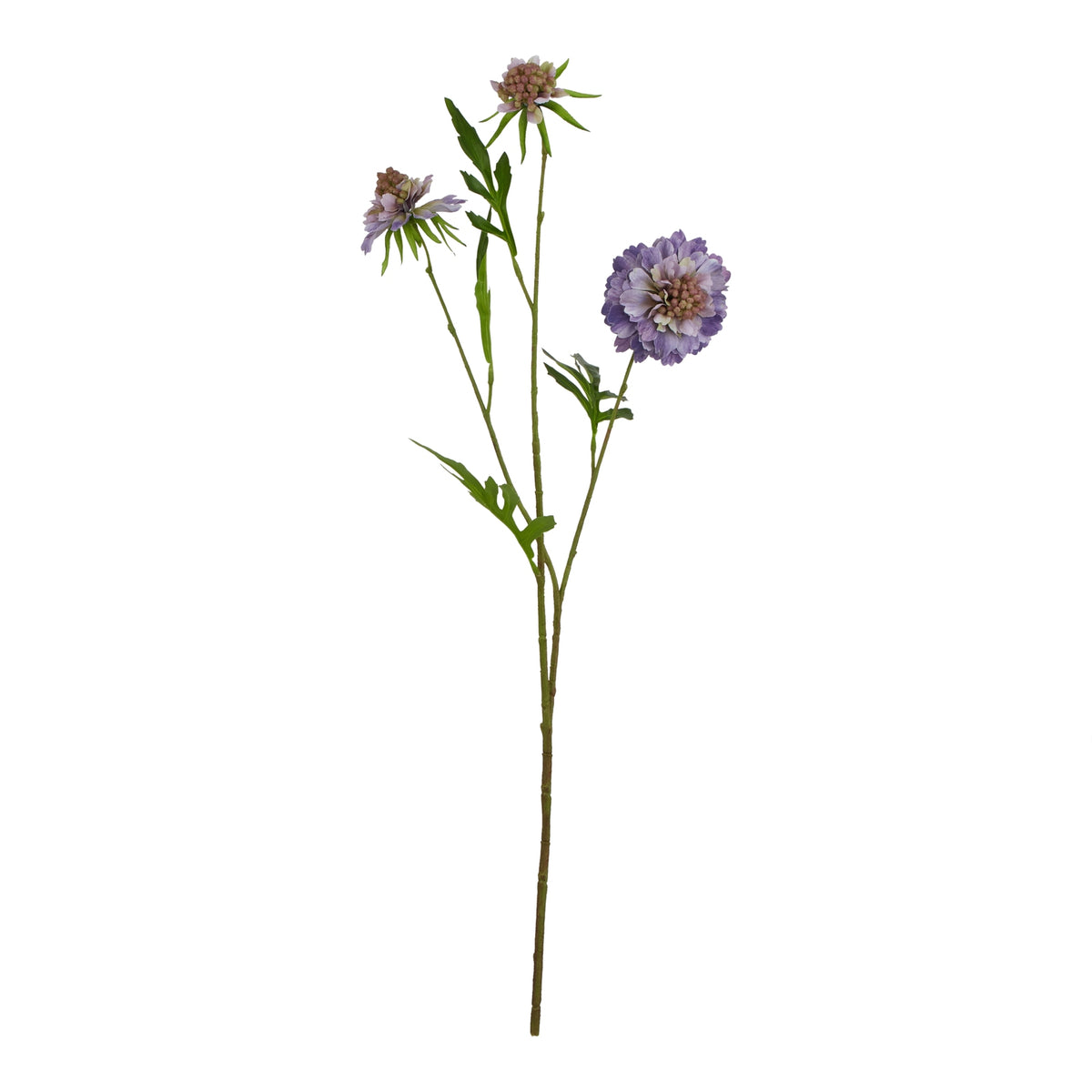 Natural Garden Collection Purple Scabious Stem - Purple