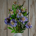 Natural Garden Collection Purple Scabious Stem