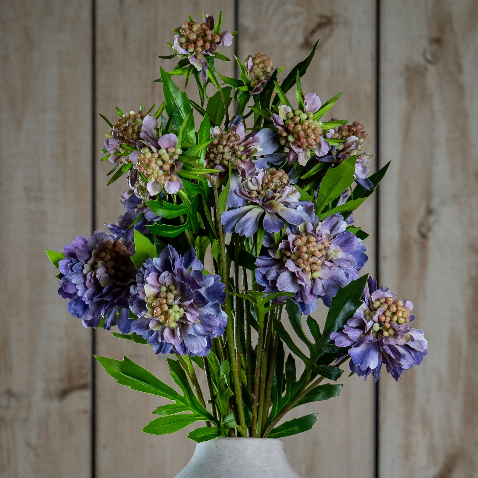 Natural Garden Collection Purple Scabious Stem