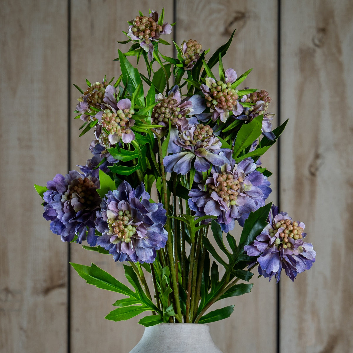Natural Garden Collection Purple Scabious Stem - Purple