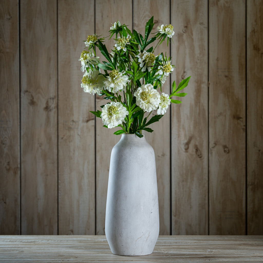 Natural Garden Collection White Scabious Stem - White