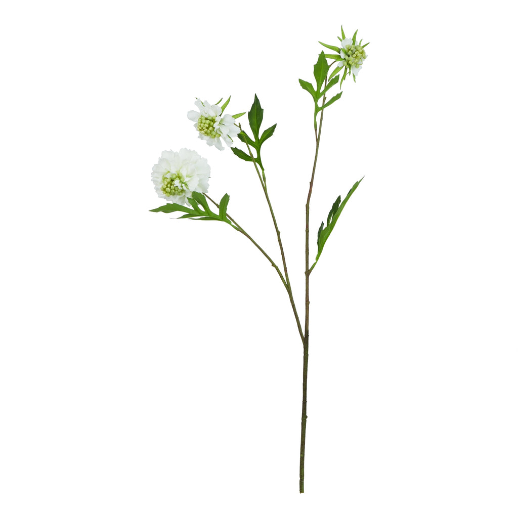 Natural Garden Collection White Scabious Stem - White
