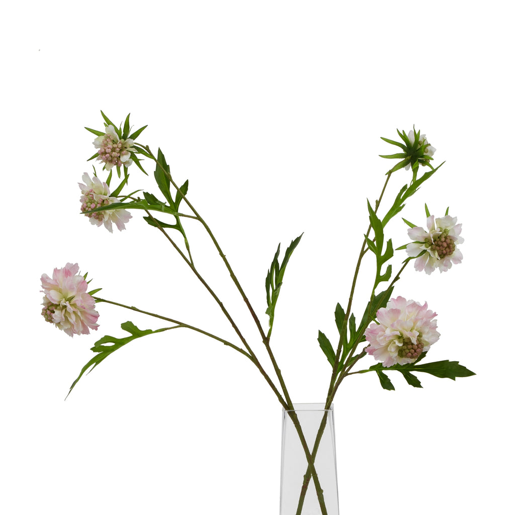 Natural Garden Collection Pale Pink Scabious Stem - Pink