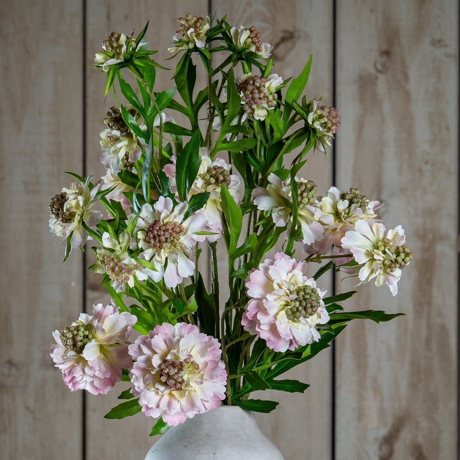 Natural Garden Collection Pale Pink Scabious Stem