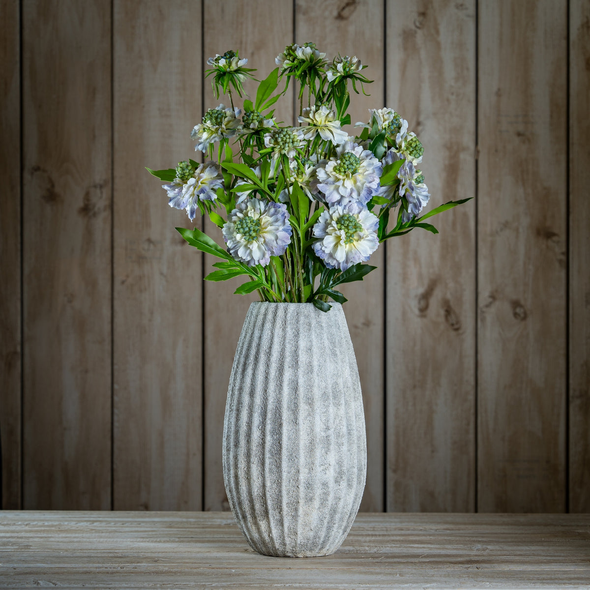 Pale Blue Scabious Stem - Blue